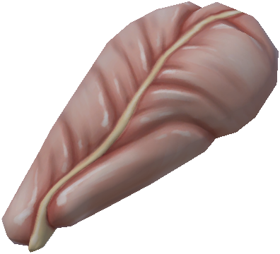 Taloned Terror Tenderloin